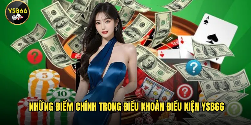 Điều khoản điều kiện Ysb66 có khó hiểu không? 1 Những điểm chính trong điều khoản điều kiện Ysb66