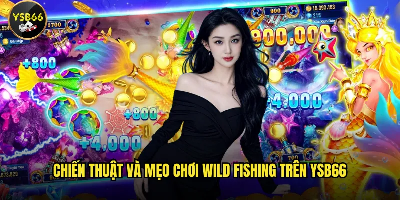 Làm sao để thắng lớn với Wild Fishing trên Ysb66? 3 Chiến thuật và mẹo chơi Wild Fishing trên Ysb66
