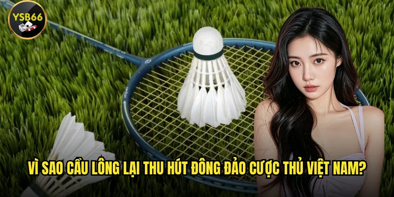 Cá cược cầu lông Ysb66 có đang là xu hướng hot nhất hiện nay? 2 Vì sao cầu lông lại thu hút đông đảo cược thủ Việt Nam?